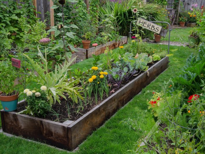 Vegetable garden ideas
