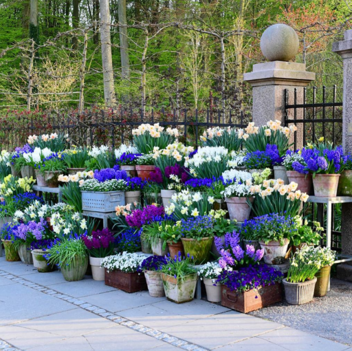 Gardening container deck containers love madness joy corner