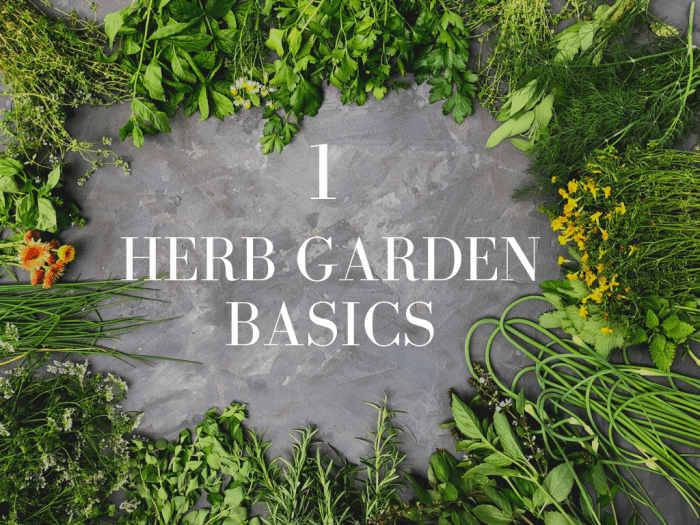 Layout edible gradini amenajari veg raised legume walkway vegetables google aromate ierburi roundecor potager