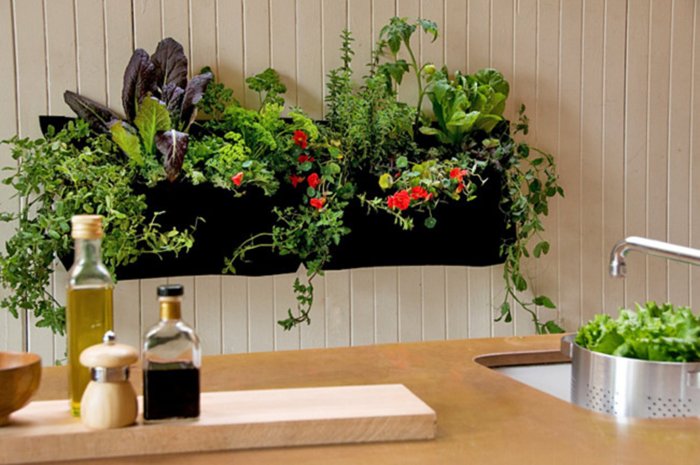 Vegetable small indoor garden ideas gardens vegetables gardening growing indoors easy hydroponic choose board space seeds